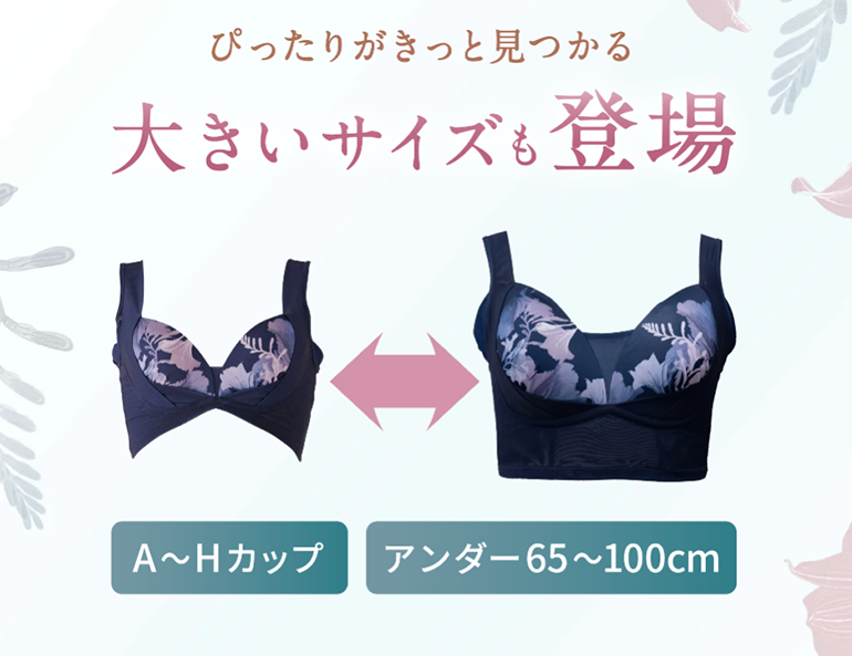 大きいサイズも登場