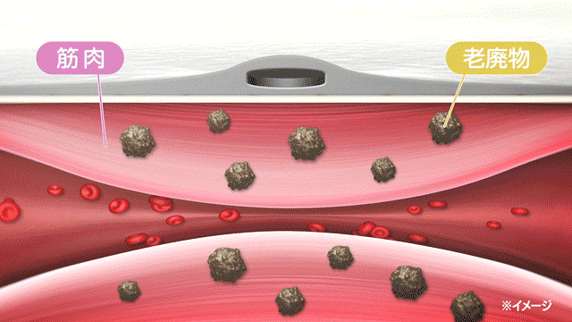 ネオジム磁石効果